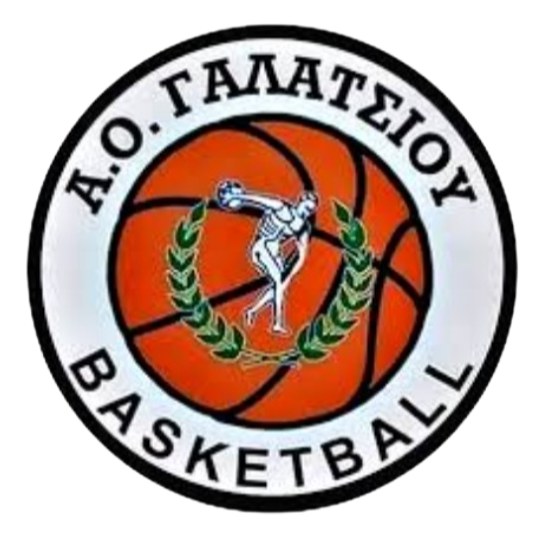 https://img.qdhjssd.com/img/basketball/team/99aa3f28c95a20cc802a5f1a5af87719.png