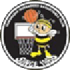 https://img.qdhjssd.com/img/basketball/team/e416830f4083698237c559f8988ddb25.png