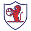 https://img.qdhjssd.com/img/football/team/11fb72f7b5eacfc881ee11bac75871fa.png