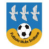 https://img.qdhjssd.com/img/football/team/259a1106a33b56d2bb3c458a62ffa2ea.png