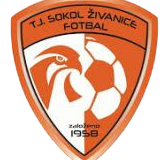 https://img.qdhjssd.com/img/football/team/5477d301041e00b2de35d5eeea2fabb4.png