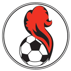 https://img.qdhjssd.com/img/football/team/5541e5015258ae82b121480f4164267d.png