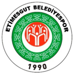 https://img.qdhjssd.com/img/football/team/5757004e143b2e2b739770e20ceb4bb7.png