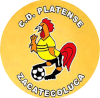 https://img.qdhjssd.com/img/football/team/63b0933cc303927659846a4ed54b1522.png