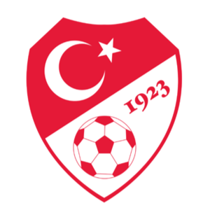 https://img.qdhjssd.com/img/football/team/6833e74cc7e961e3226632bf805e36c7.png