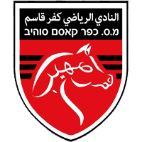 https://img.qdhjssd.com/img/football/team/6ab1782364049d6313678f74a706d246.png