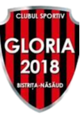 https://img.qdhjssd.com/img/football/team/a437e58508b832b84d63688a3fe81f7f.png