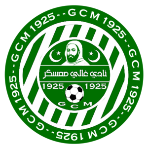 https://img.qdhjssd.com/img/football/team/af4e5a161768f66ecc18897360e37753.png