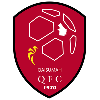 https://img.qdhjssd.com/img/football/team/b155714d7a8b3230696693bba8181b6d.png