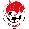 https://img.qdhjssd.com/img/football/team/b201265fa89720bf8cd8ef95549a4738.png