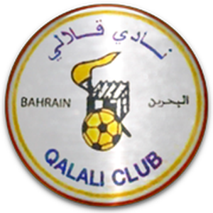 https://img.qdhjssd.com/img/football/team/b912ebbaba6789e75cad512ea8ff1419.png