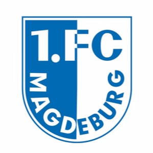 https://img.qdhjssd.com/img/football/team/bfbe58447633bb821c1455830073a910.png