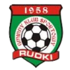 https://img.qdhjssd.com/img/football/team/d2299228f1b2481fc815598fbd48ffbf.png