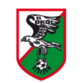 https://img.qdhjssd.com/img/football/team/e6a8908dd206e2ea02d9803c82c60bba.png